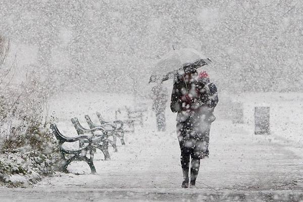МЧС предупредило о метели в Петербурге — Агентство Бизнес Новостей